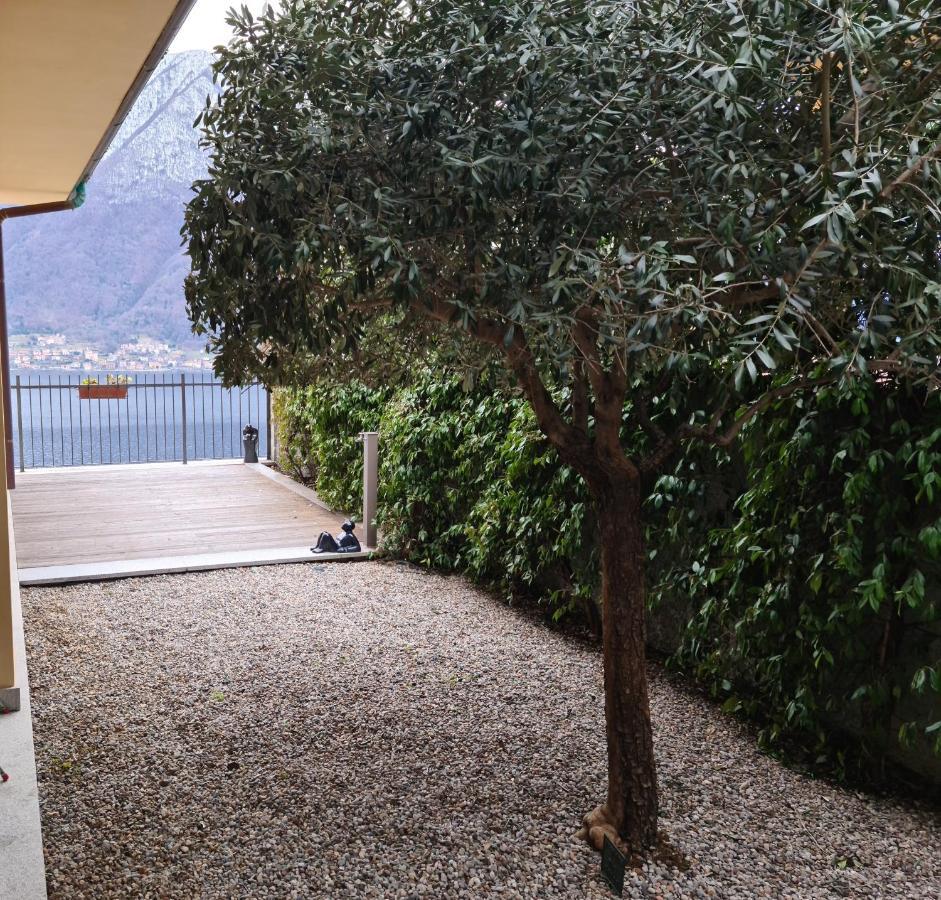 Colonno Panoramica Lago Di Como Exteriör bild