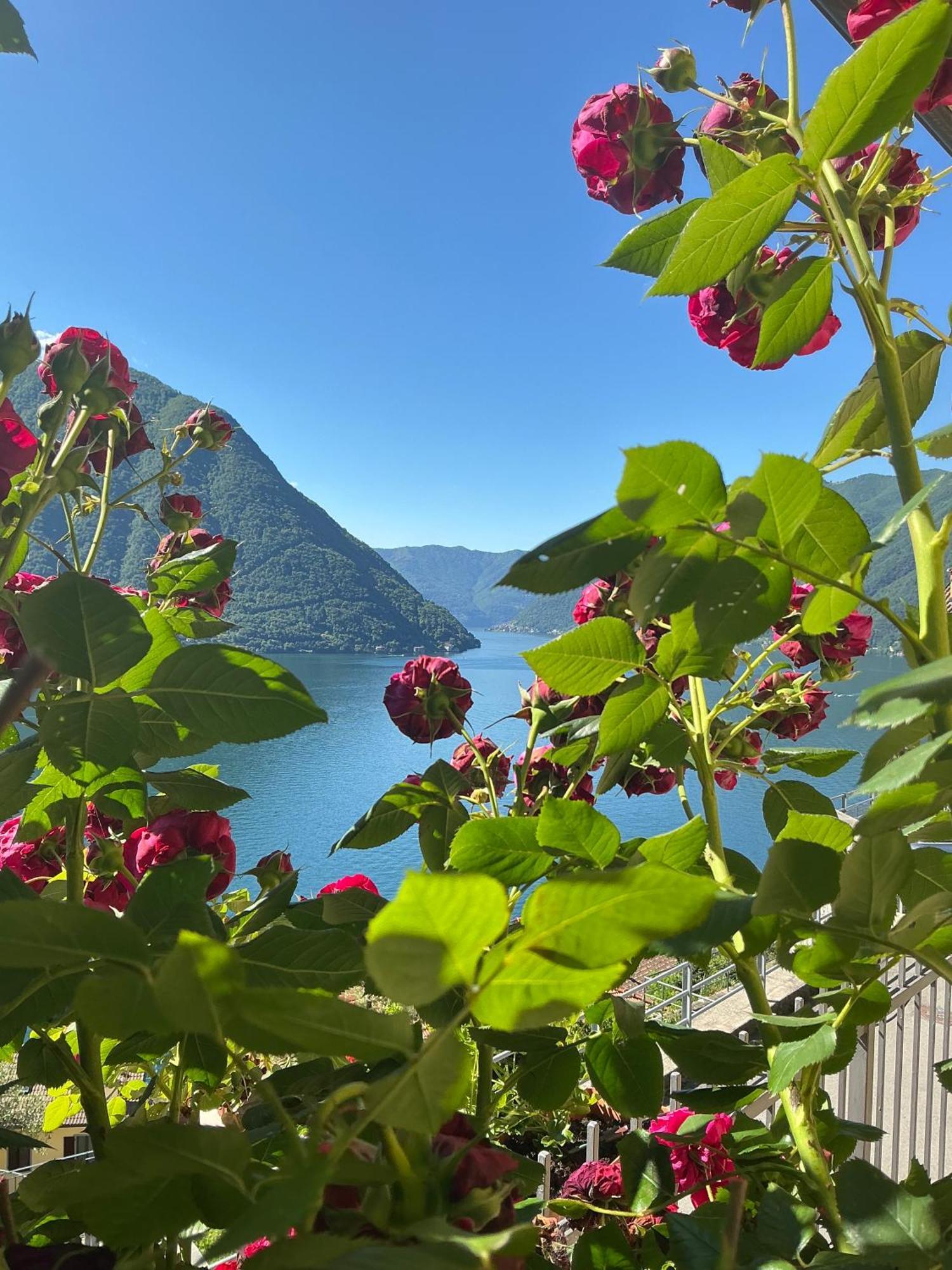 Colonno Panoramica Lago Di Como Exteriör bild